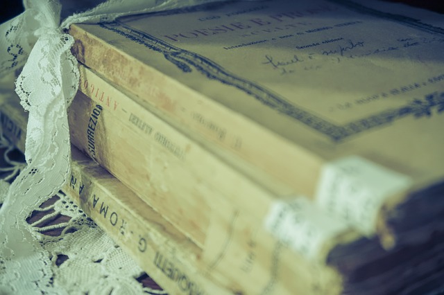 Argomenti di letteratura italiana. Gli autori pi� importanti per tutte le scuole secondarie di primo e secondo grado ed universita italiane