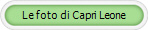 Le foto di Capri Leone
