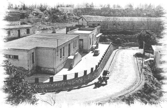 Foto storiche di Capri Leone - Lo stallone e le vecchie scuole