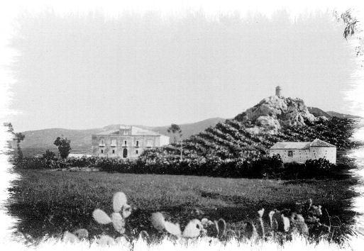 Foto storiche di Capri Leone - Palazzo Cupane Chiesa e Palombaio