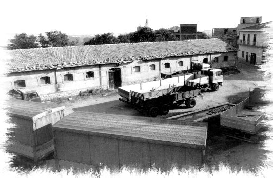 Rocca di Capri Leone - Lo stallone