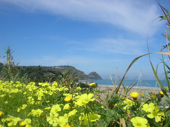Capo d'Orlando - Fiori nella Villa Bagnoli